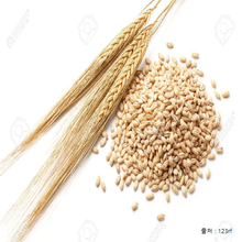 착한 농부의 이야기 곡물 찰보리 1kg - 한국산 도정일: 2019.10.29 *